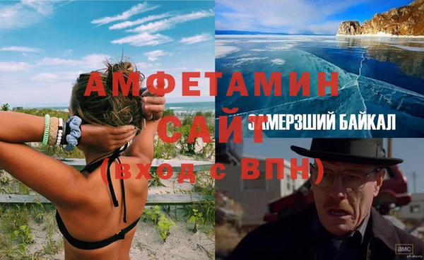 PSILOCYBIN Алзамай