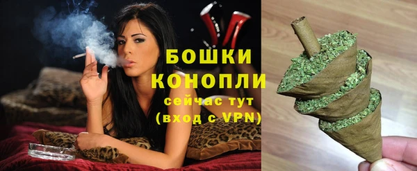 PSILOCYBIN Алзамай